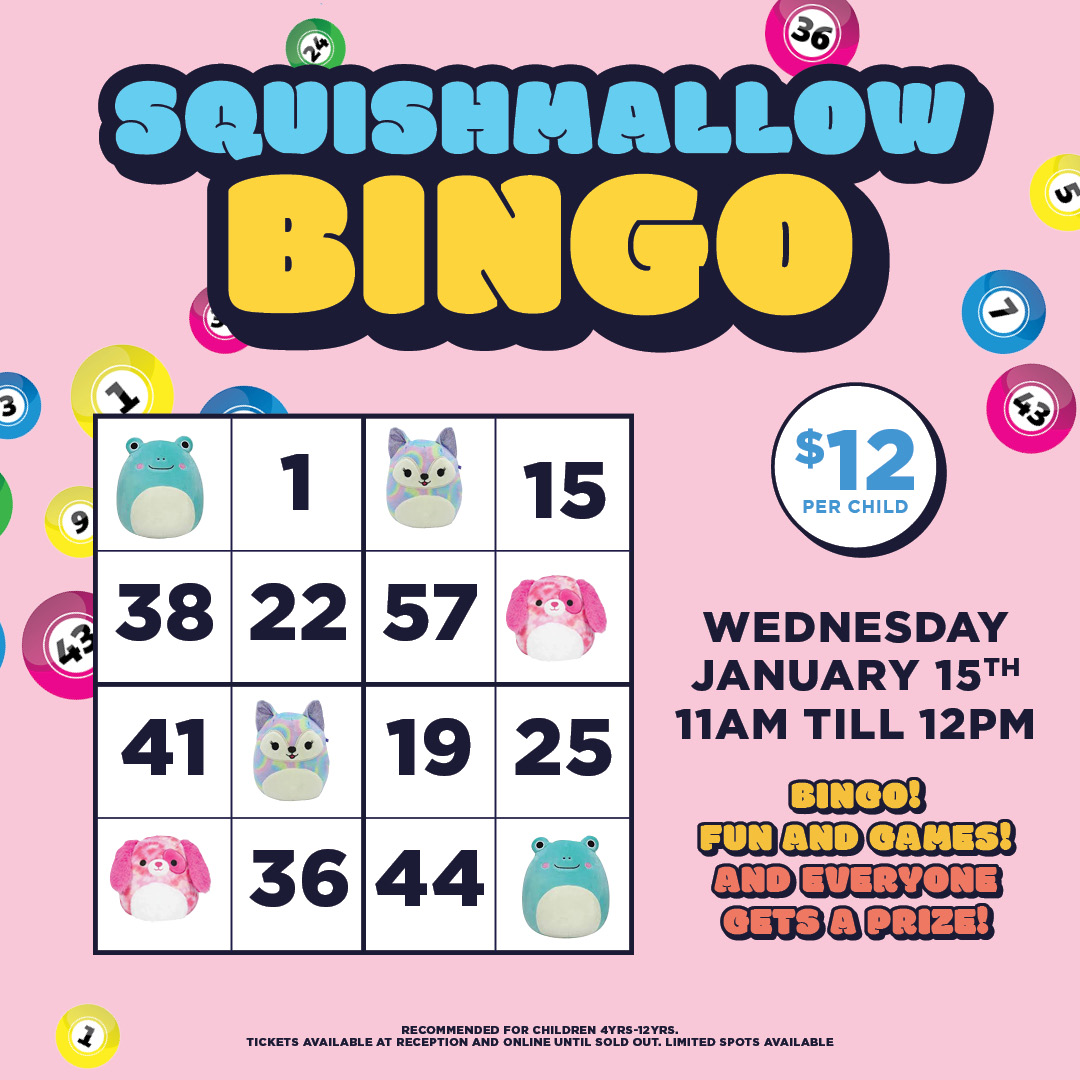 Squishmallow Bingo